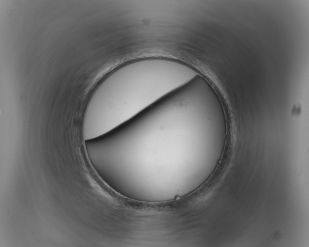 X0000114390625200910161033