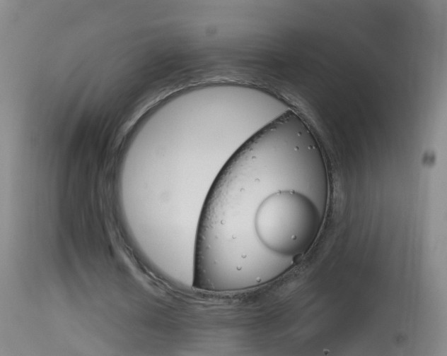 X0000114390626200910161033