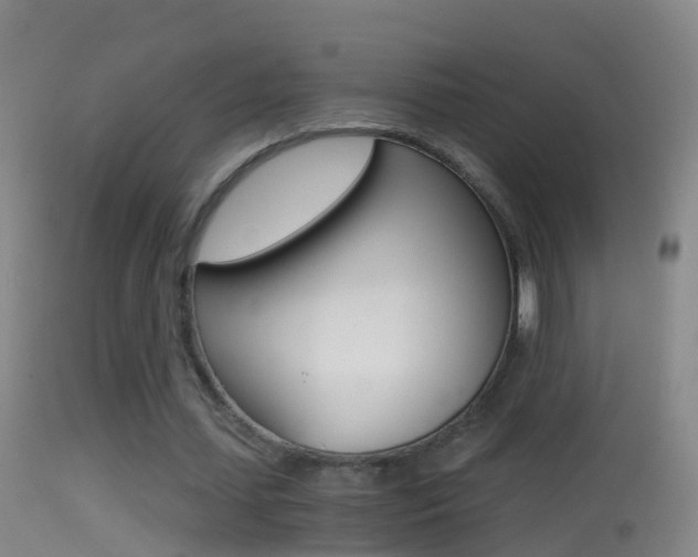 X0000114390627200910161033
