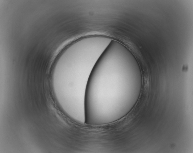X0000114390628200910161033