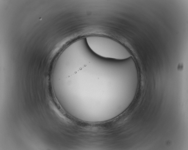 X0000114390629200910161033