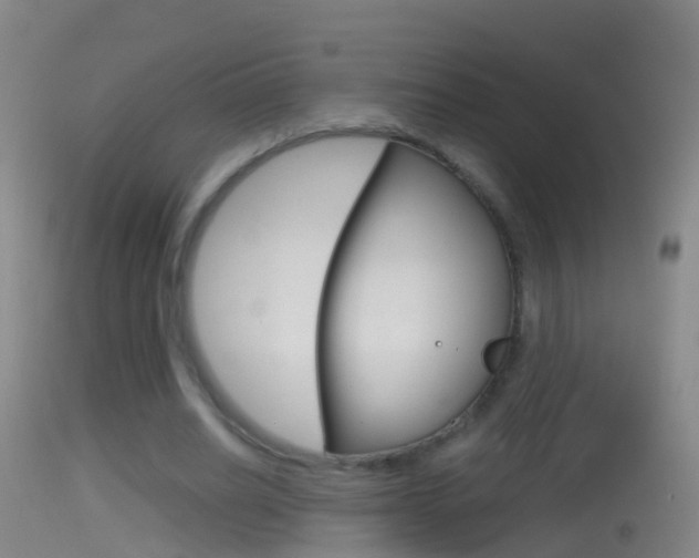 X0000114390630200910161033