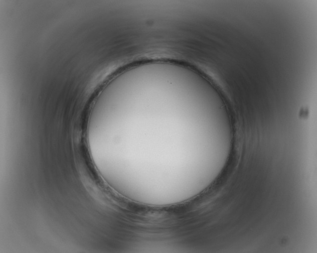 X0000114390631200910161033