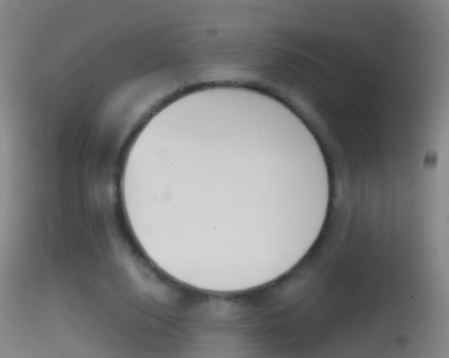 X0000114390632200910161033