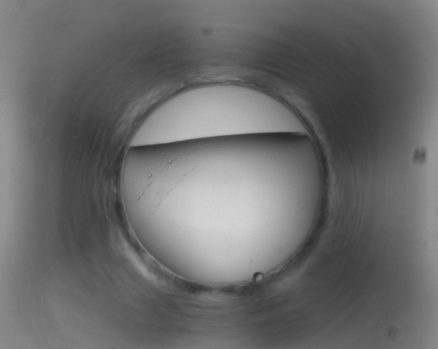 X0000114390633200910161033