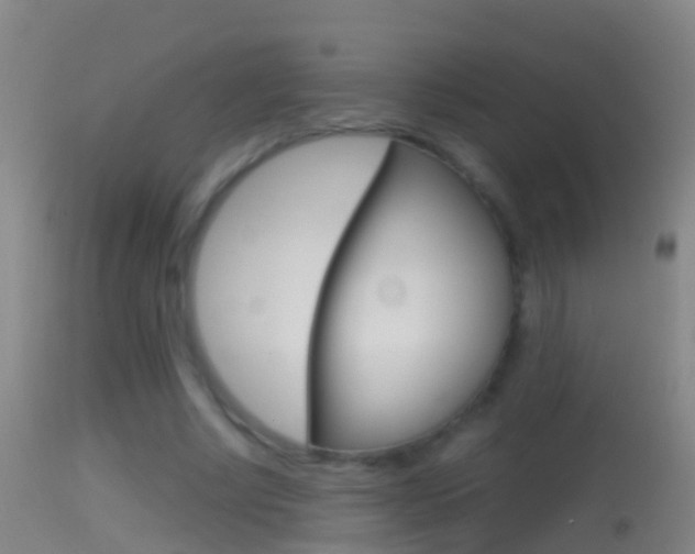 X0000114390634200910161033