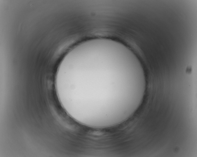 X0000114390635200910161033
