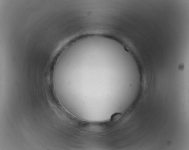 X0000114390636200910161033