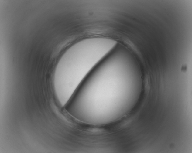 X0000114390637200910161033