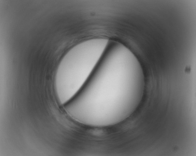 X0000114390639200910161033