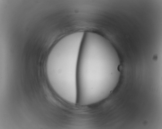 X0000114390642200910161033