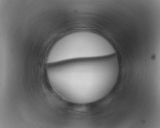 X0000114390643200910161033