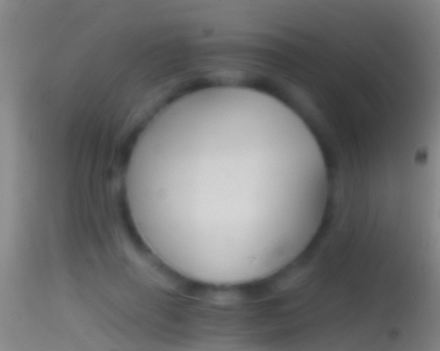 X0000114390645200910161033