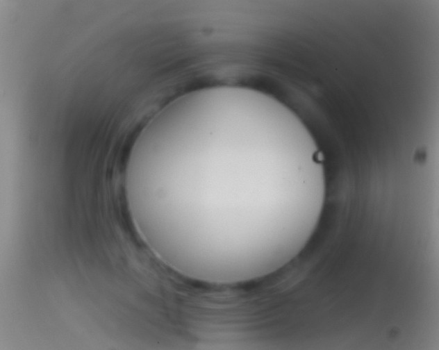 X0000114390646200910161033