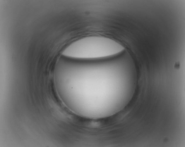 X0000114390647200910161033