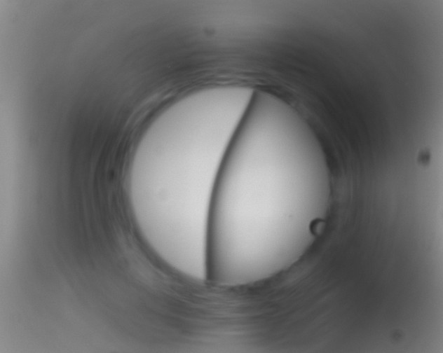 X0000114390648200910161033