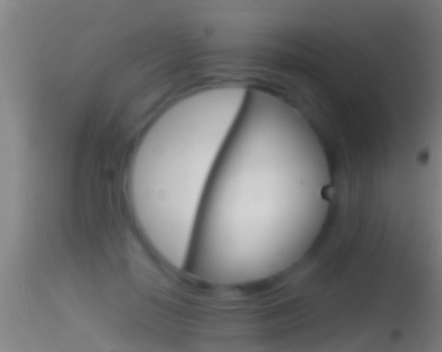 X0000114390650200910161033