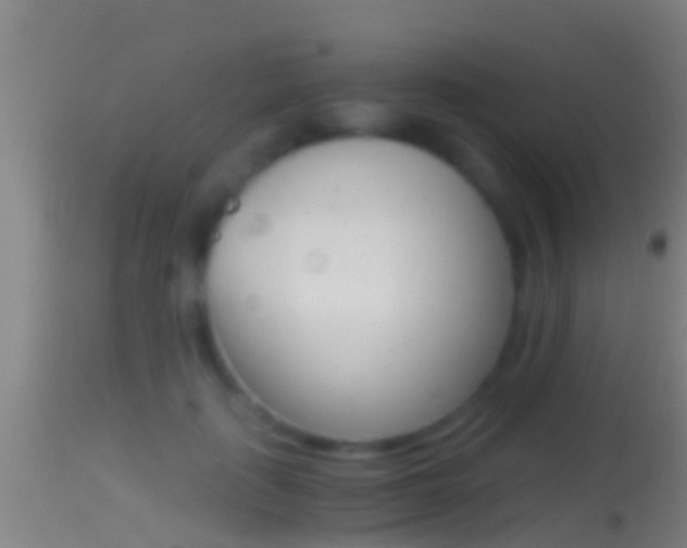 X0000114390651200910161033