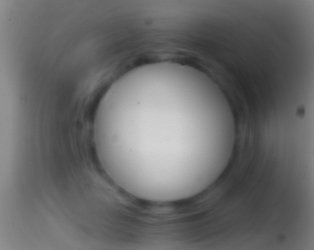 X0000114390653200910161033