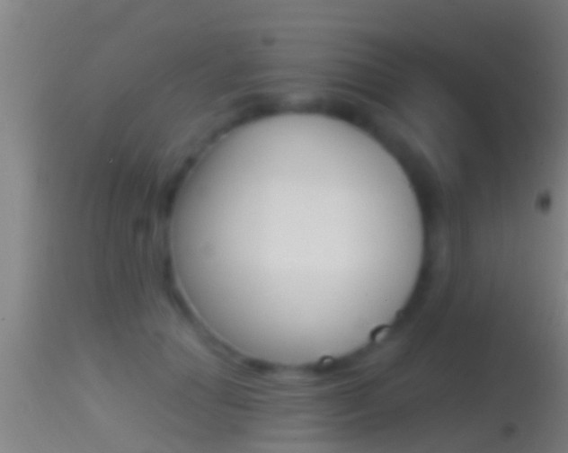 X0000114390654200910161033