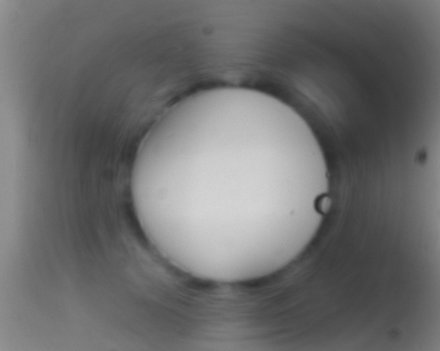 X0000114390656200910161033