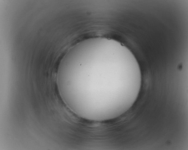 X0000114390657200910161033