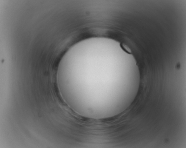 X0000114390658200910161033