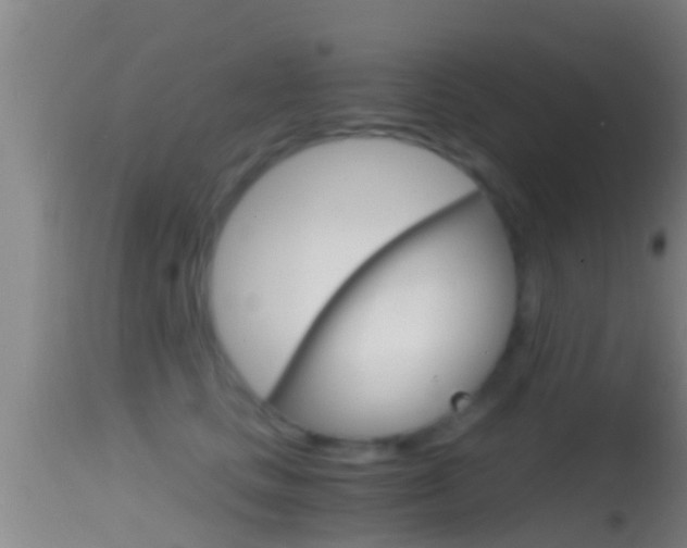 X0000114390661200910161033