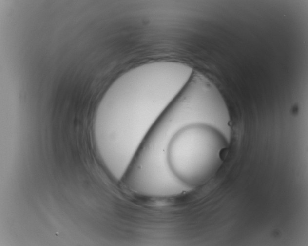 X0000114390662200910161033