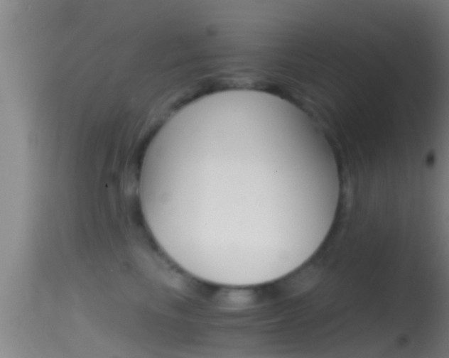 X0000114390665200910161033