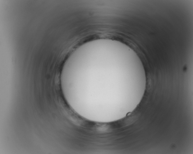 X0000114390667200910161033