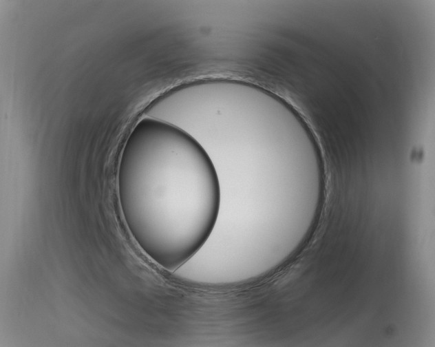 X0000114390673200910161033