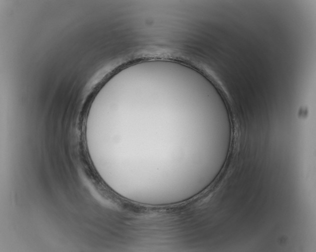 X0000114390674200910161033