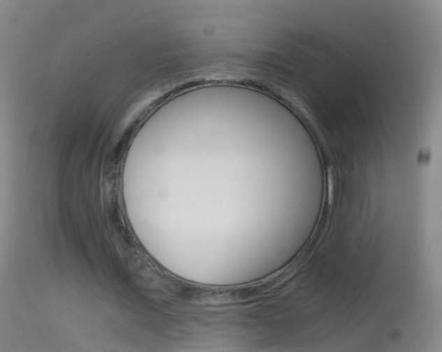 X0000114390675200910161033