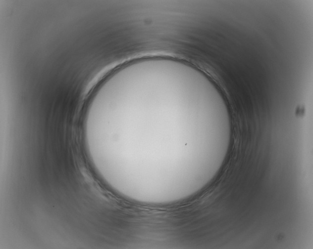X0000114390676200910161033