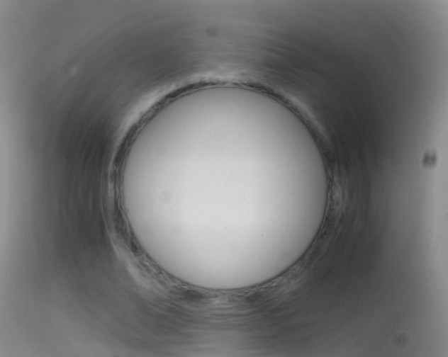 X0000114390678200910161033