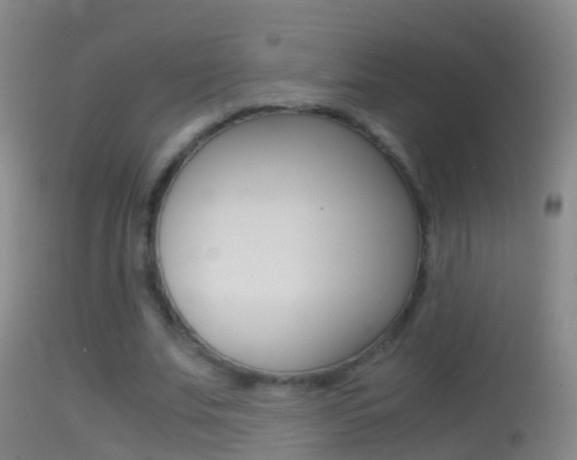 X0000114390679200910161033