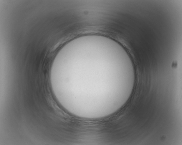 X0000114390681200910161033