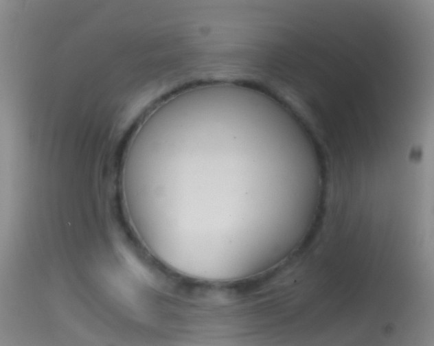 X0000114390683200910161033
