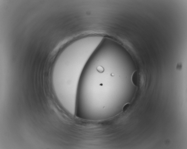 X0000114390684200910161033