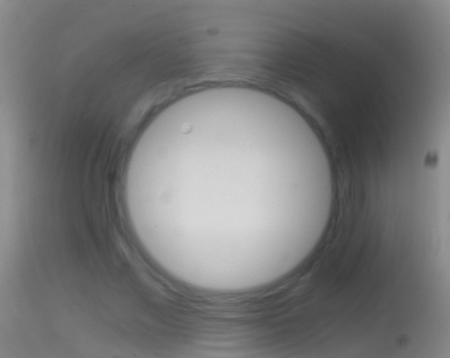 X0000114390685200910161033