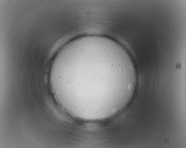 X0000114390686200910161033