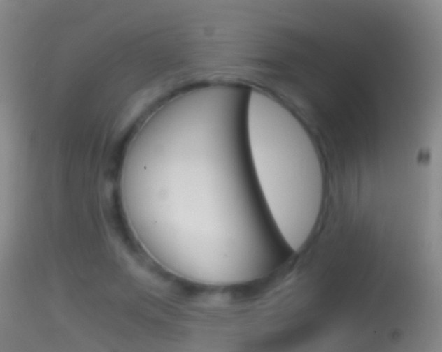X0000114390687200910161033