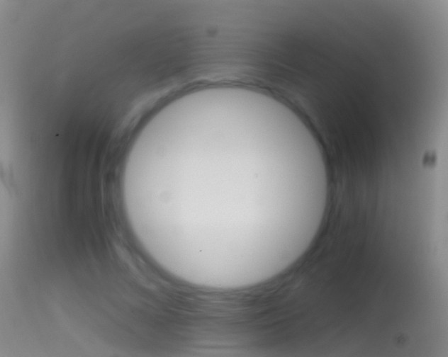 X0000114390688200910161033