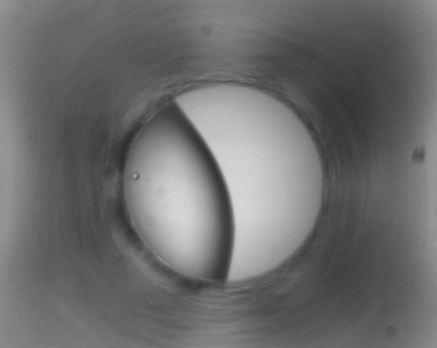 X0000114390689200910161033