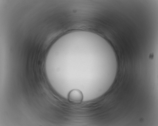 X0000114390692200910161033