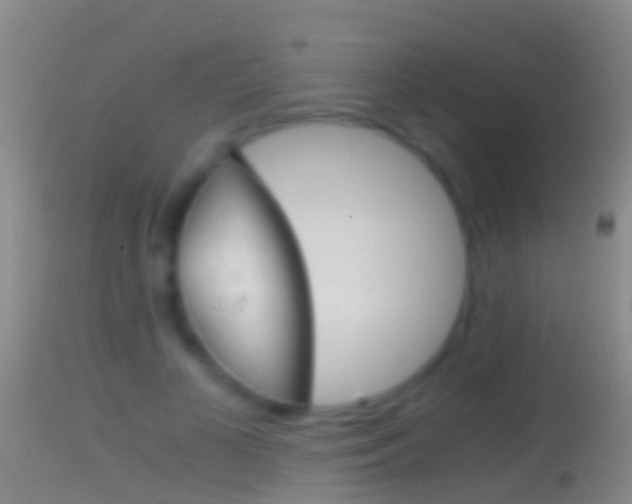 X0000114390693200910161033