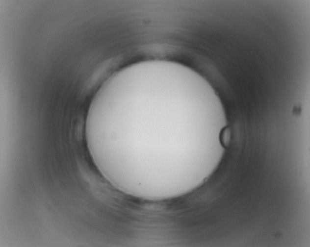 X0000114390694200910161033