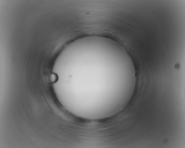 X0000114390695200910161033