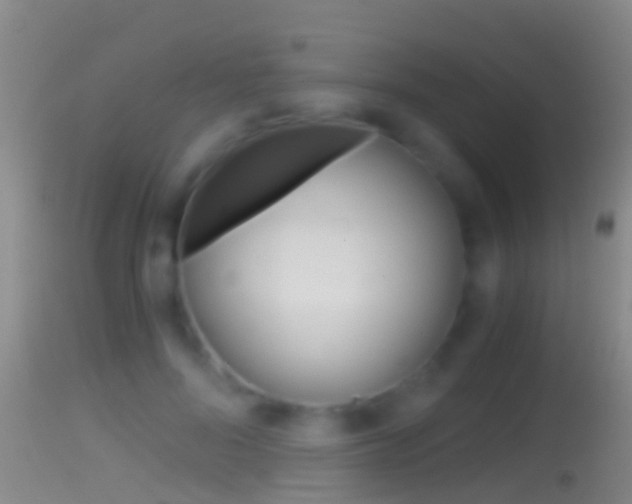 X0000114390696200910161033